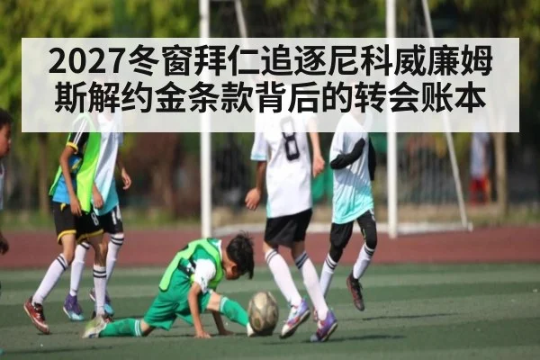 2027冬窗拜仁追逐尼科威廉姆斯解约金条款背后的转会账本